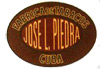 Jose L. Piedra