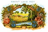 Saint Luis Rey