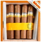   Cohiba Robustos