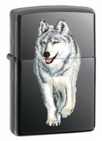769 Wolf